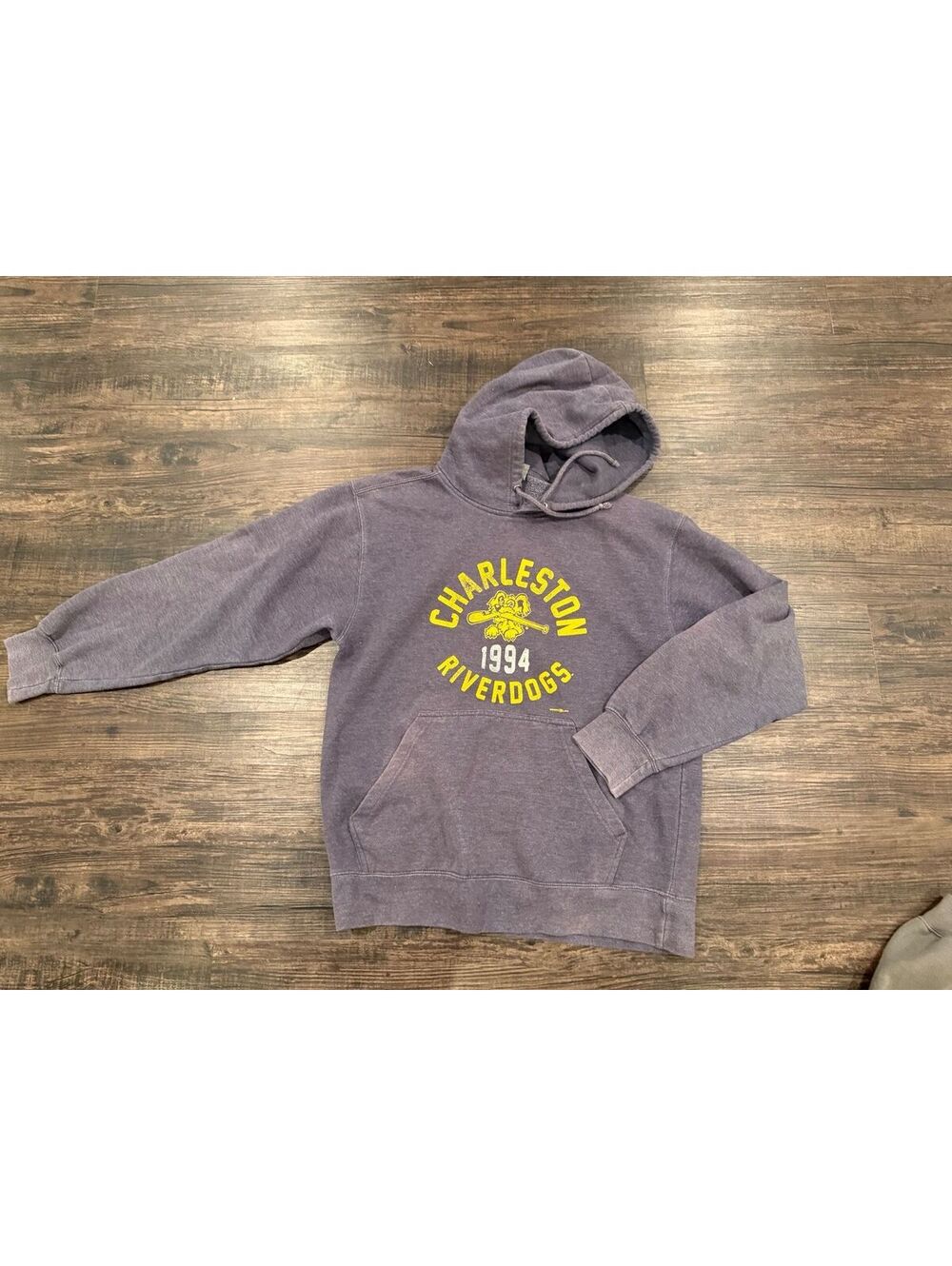 Charles River Apparel Riverdogs 1994 Purple Graphic Hoodie Sweatshirt Medium